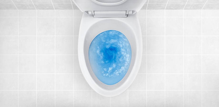 Here’s Why I Just Poured Dish Soap Into My Toilet (Hint: It Has Nothing to Do With Cleaning)