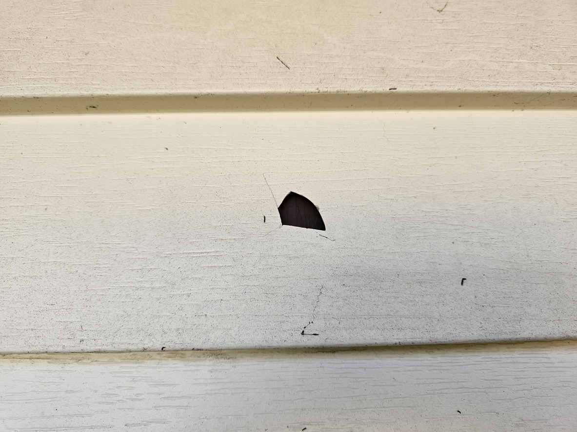 An oval-shaped hole in beige vinyl siding.
