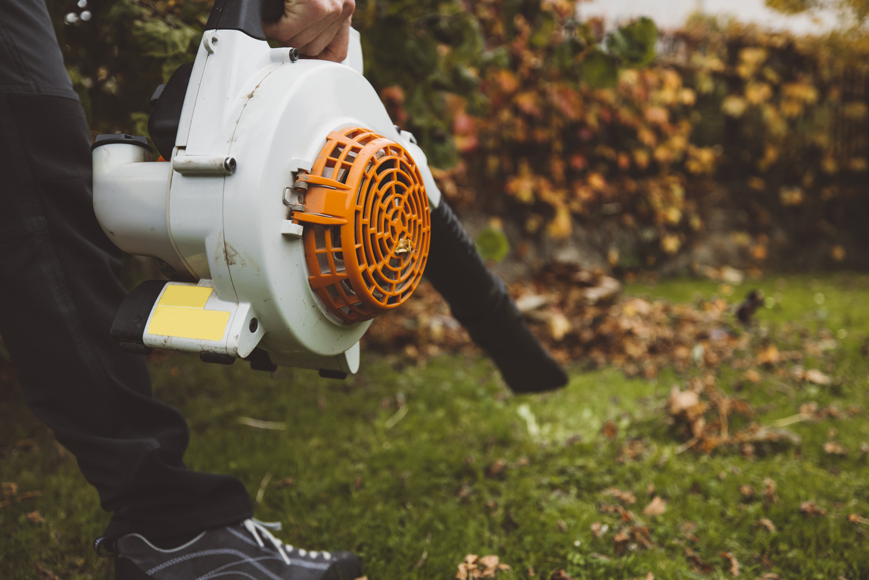 Gardener using leaf blower to clean the backyard of crispy autumn leaves.