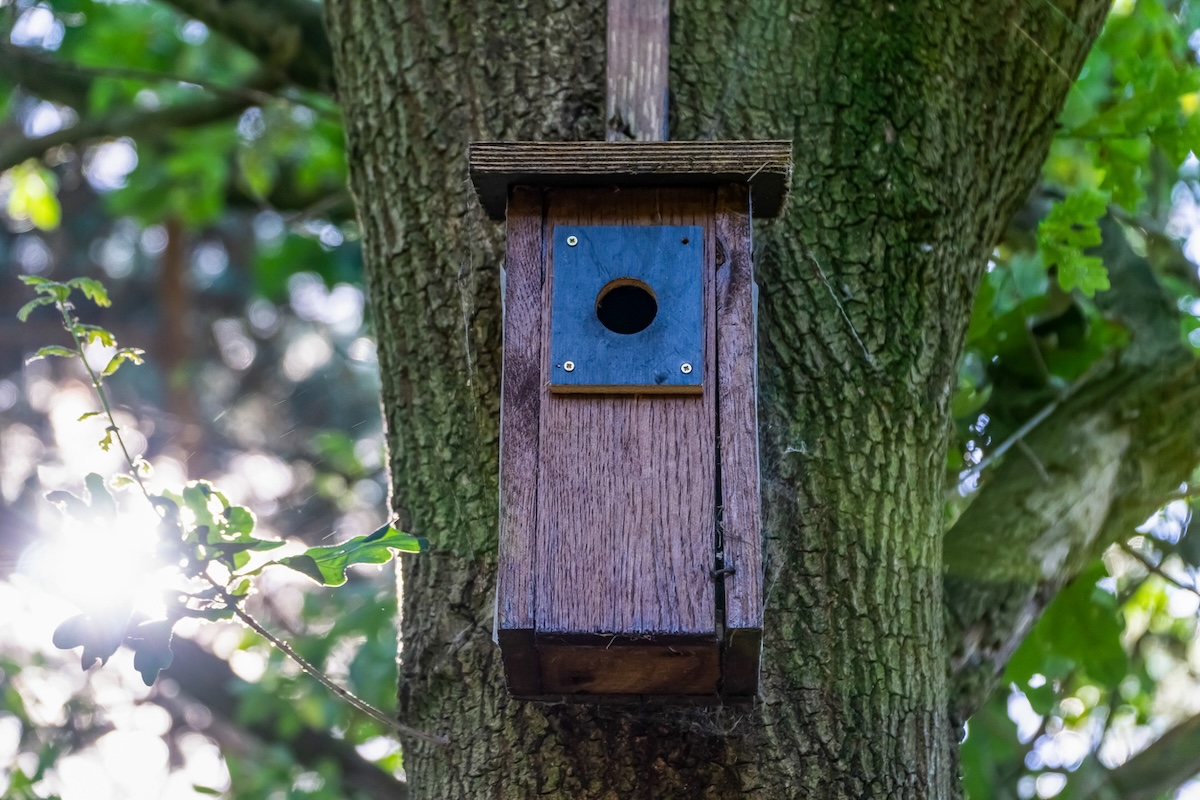 A wood birdhouse mounted on a tree in a home landscape to deter birds from nesting on the porch.