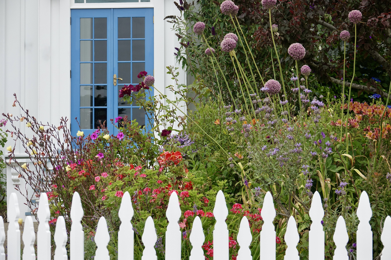 Wildflowers-stand-up-behind-a-white-picket-fence-in-front-of-a-white-and-blue-cottage-door.