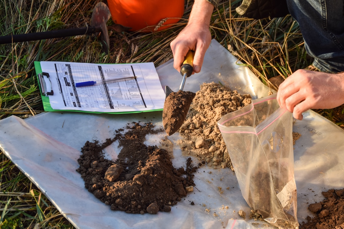 A person collecting soil samples for diy landscape design.