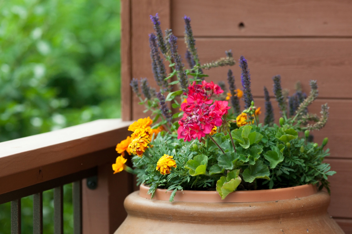 Colorful flowers in vase on porch.