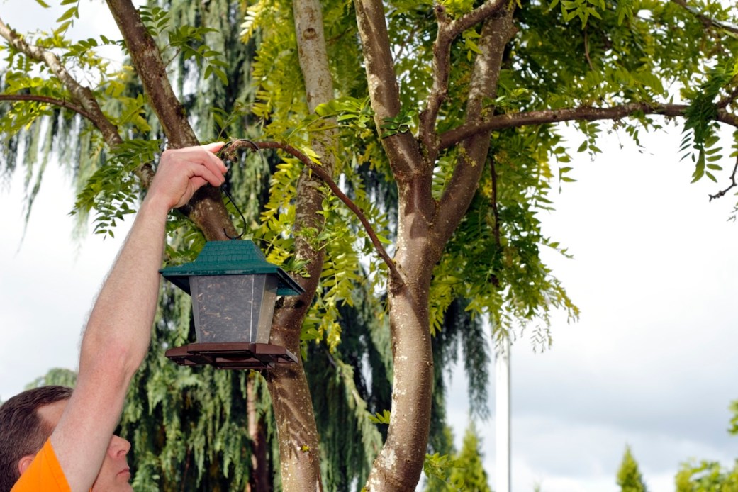 How to Keep Birds Off of Your Porch (Without Harming Them)