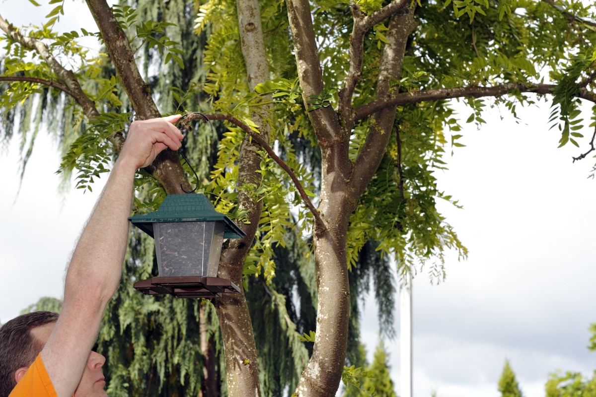 A person hanging a bird feeder away from the house to prevent birds from nesting on the porch.