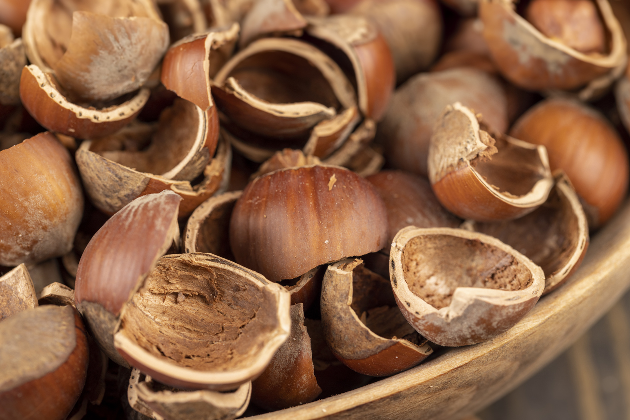 Close view of cracked hazelnut shells in a wood bowl.