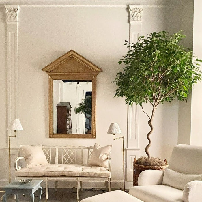 Classical living room with white furniture, a green house tree, a wooden mirror and walls painted in Pointing by Farrow & Ball.