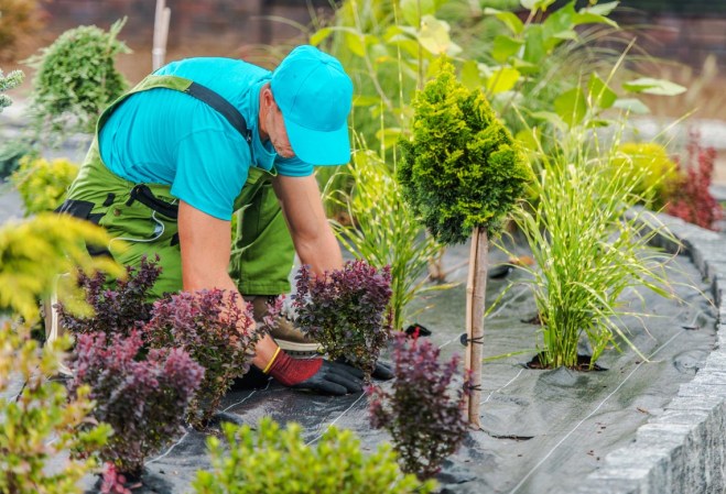 The Average Landscaper Salary, State-by-State