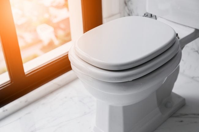 Does Closing the Toilet Lid Before Flushing Reduce the Spread of Germs?