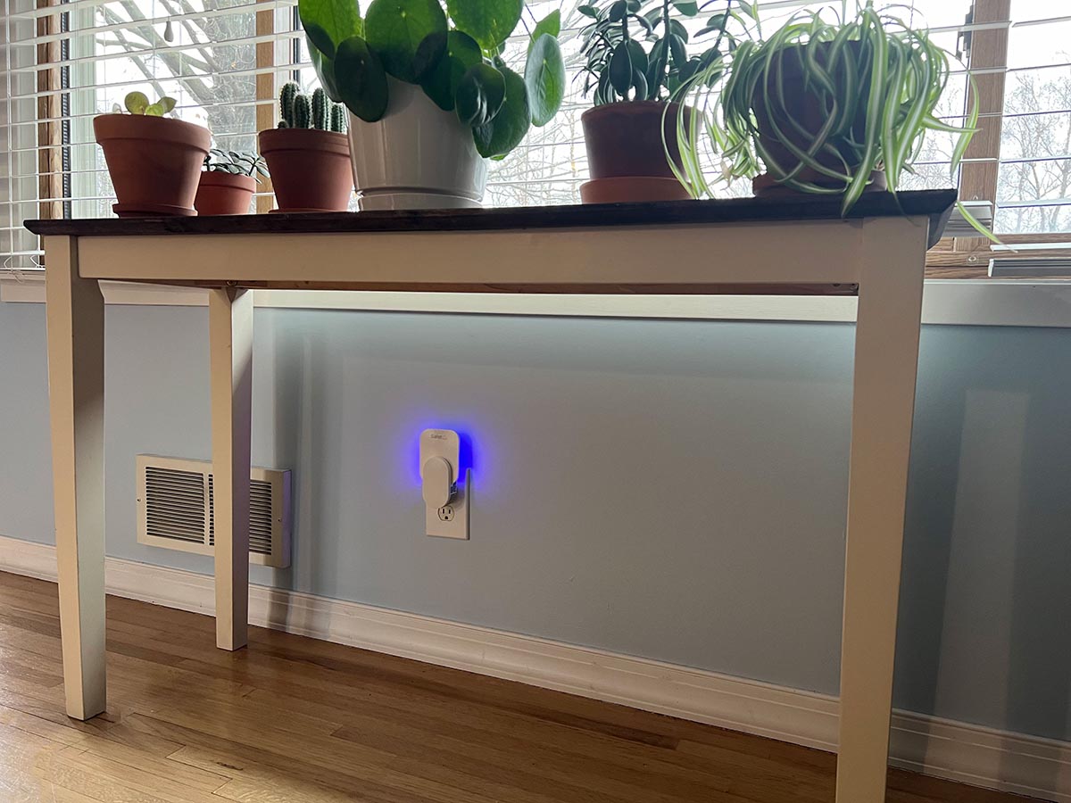The Safer Home Indoor Fly Trap glowing while plugged in under a slim table holding several healthy houseplants.