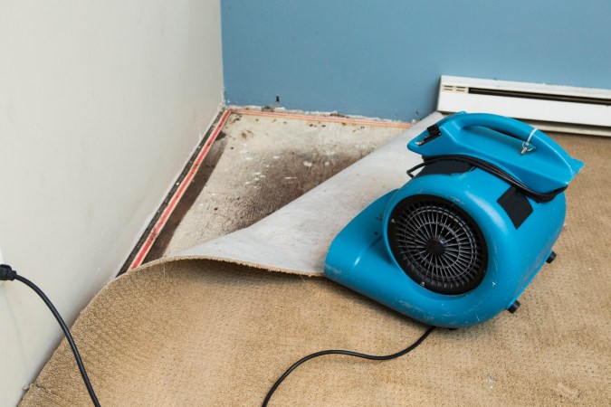 Yes, Mold Can Grow Under Laminate Flooring—Here’s What You Need to Know