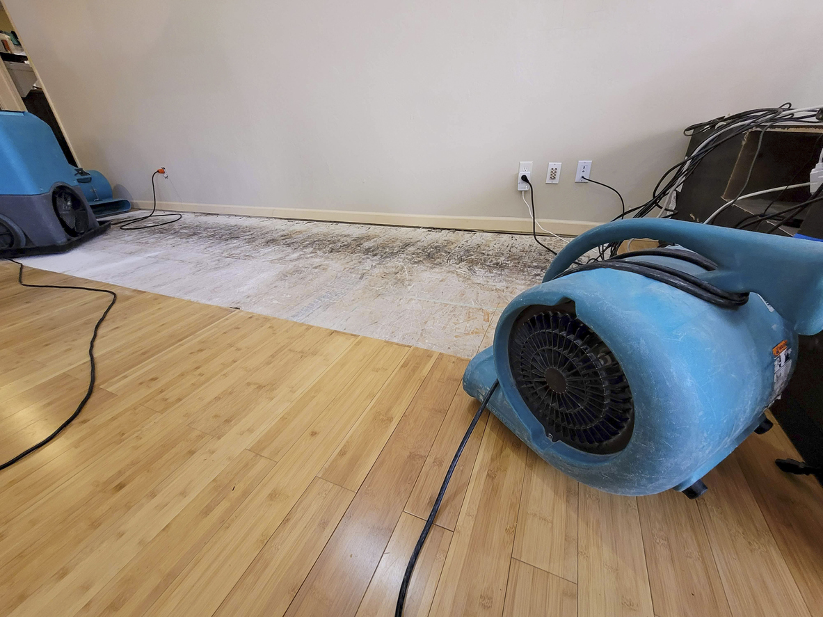 Signs of Water Damage Under the Floor