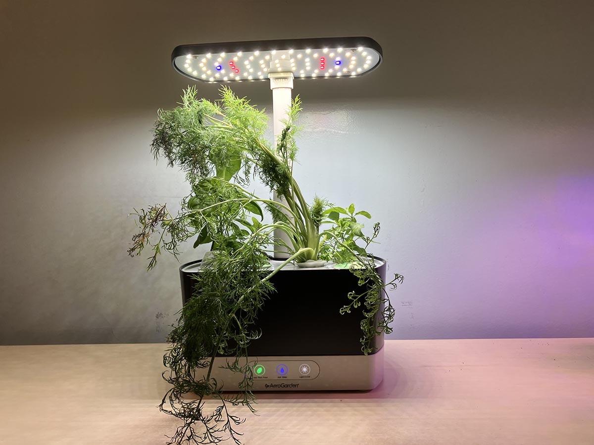 The Best Hydroponic System Aerogarden Harvest