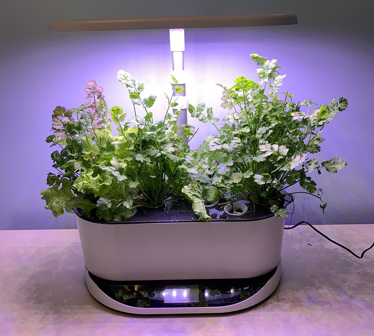 The Best Hydroponic System Aerogarden