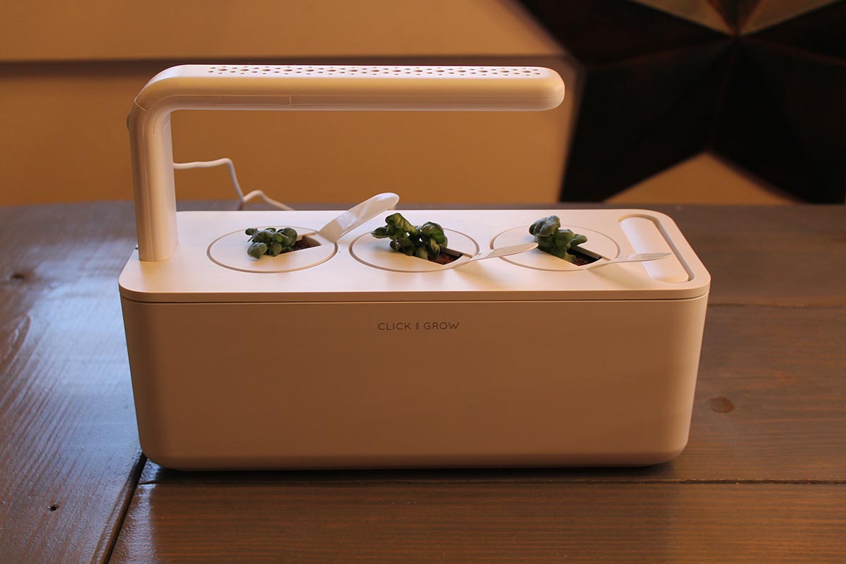 The Best Hydroponic System Click & Grow Smart Garden