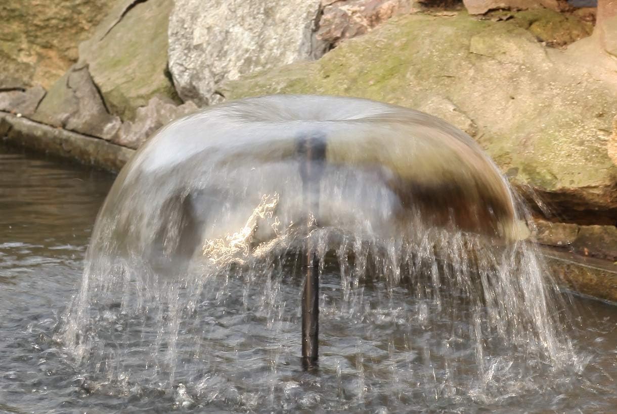 The Best Pond Fountain Option ECO-WORTHY Solar Fountain