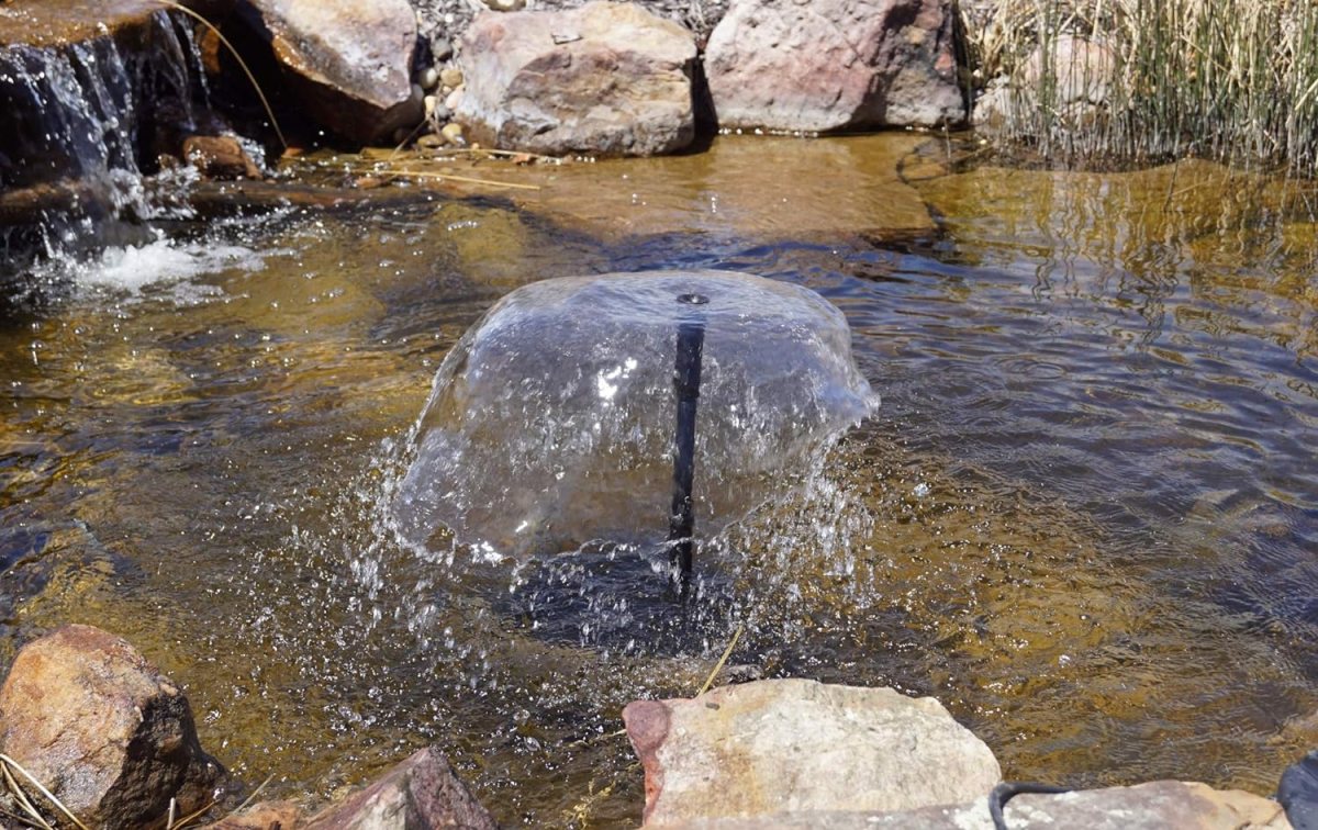 The Best Pond Fountain Options