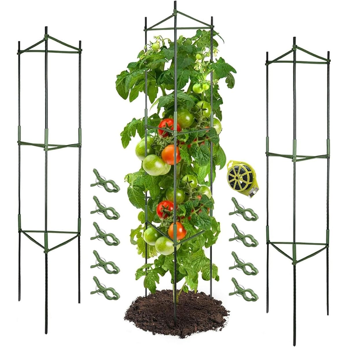 Growneer Tomato Cages with one tomato plant growing