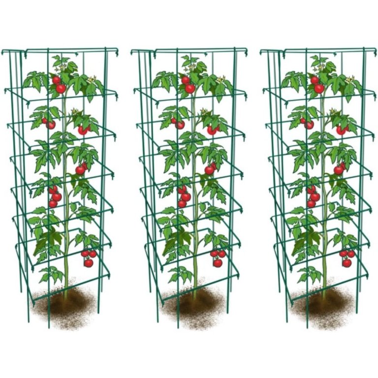  Three Happy Trees Large Heavy-Duty Tomato Cages with plants growing
