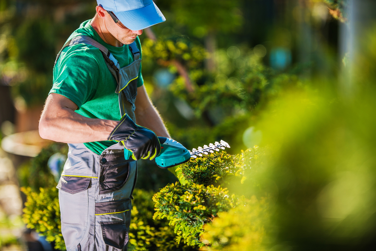 What Licenses Are Needed to Start a Landscaping Business