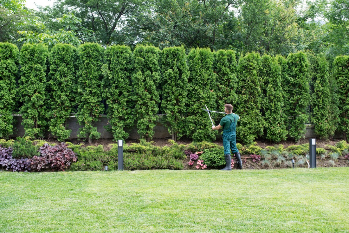 What Licenses Are Needed to Start a Landscaping Business
