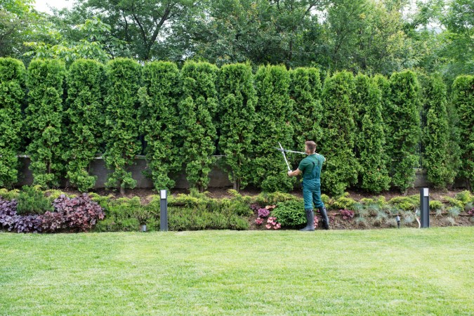 How to Become a Landscaper and Turn Your Green Thumb Into a Blossoming Career