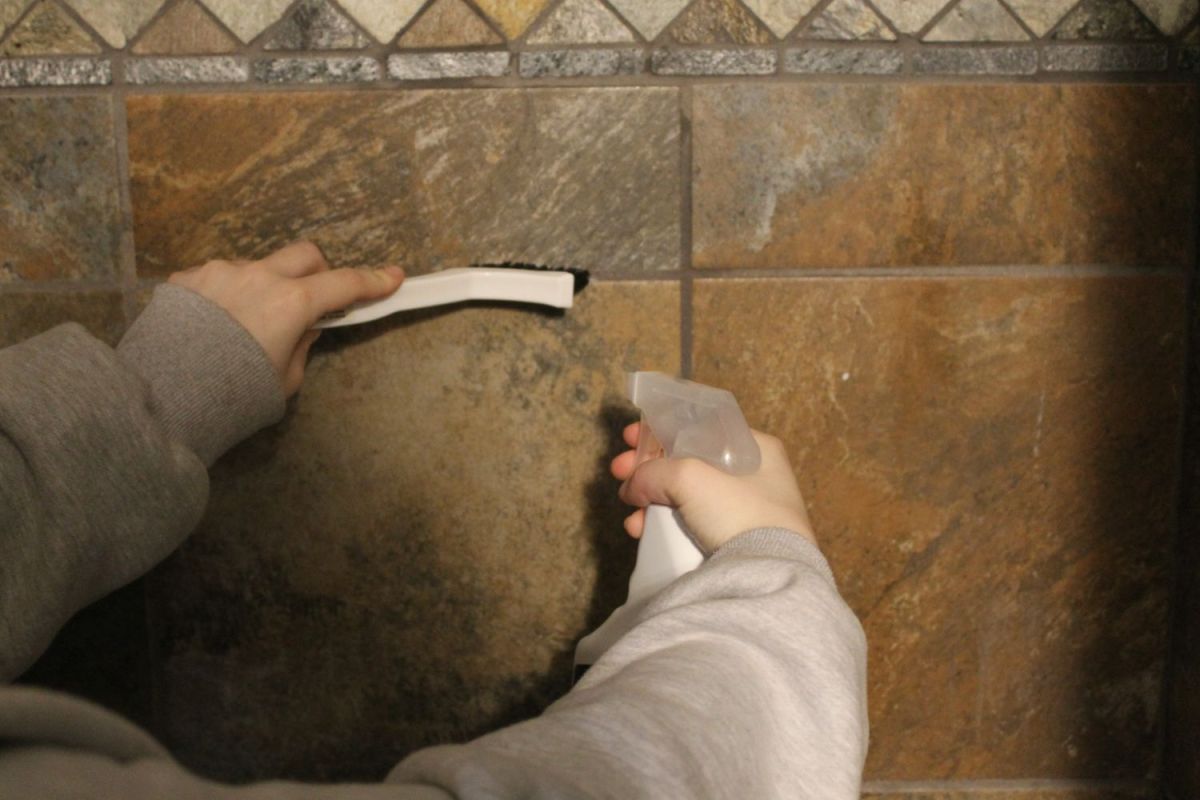 A person using the best shower tile cleaner and a brush to clean tile grout.