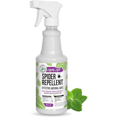 A spray bottle of Mighty Mint peppermint Spider Repellent on a white background next to a cluster of mint leaves.