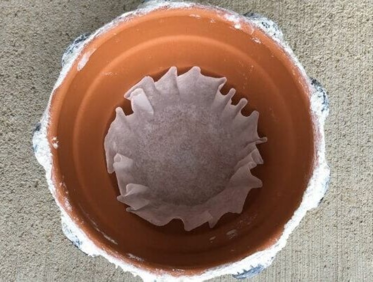 Coffee filter in bottom of plant pot.