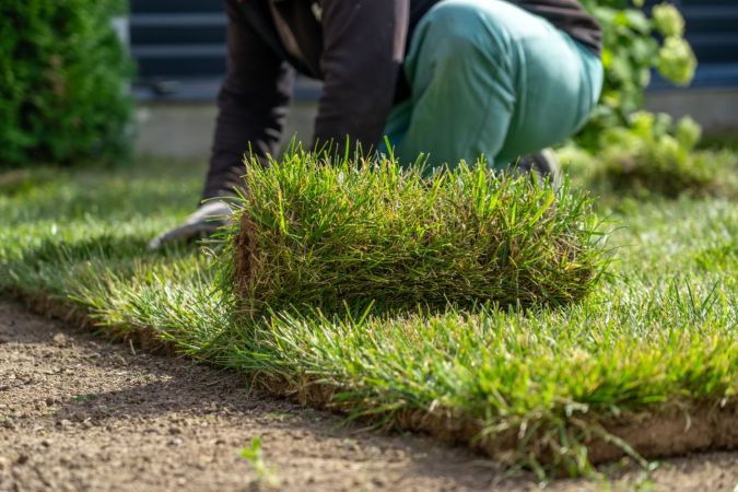 How Much Does Sod Cost to Install?