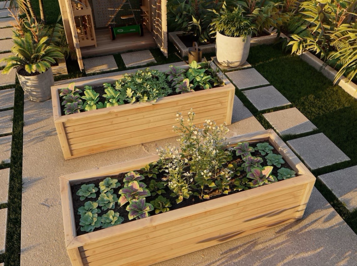 Raised garden bed in modern backyard.