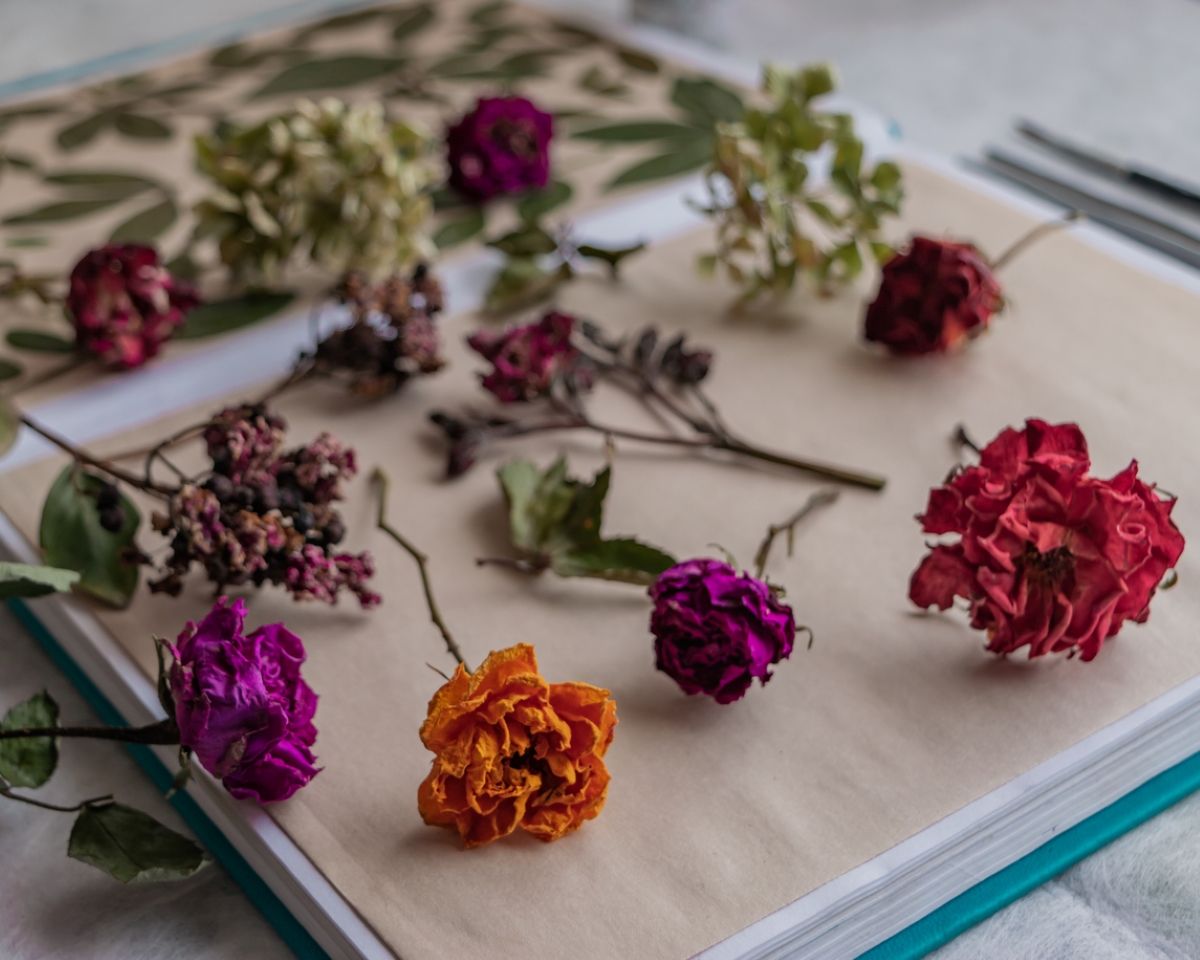 Dried flowers and leaves on book.