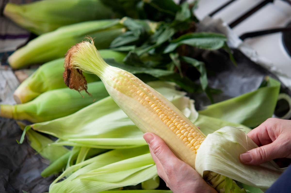 Person shucking corn.