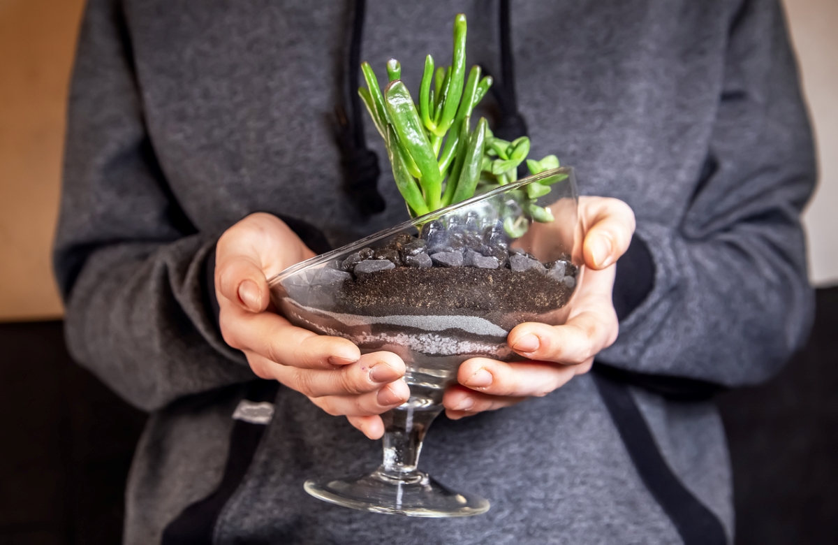 Person holding finished terrarium.