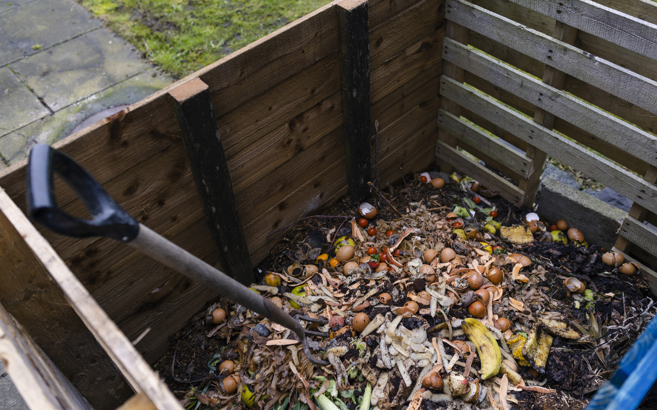 Eggshells crushed into compost bucket with other food waste.