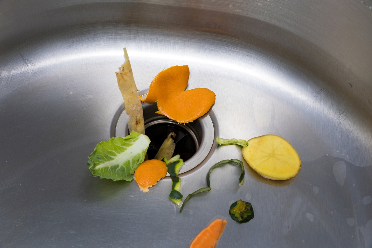 Food scraps in sink garbage disposal.