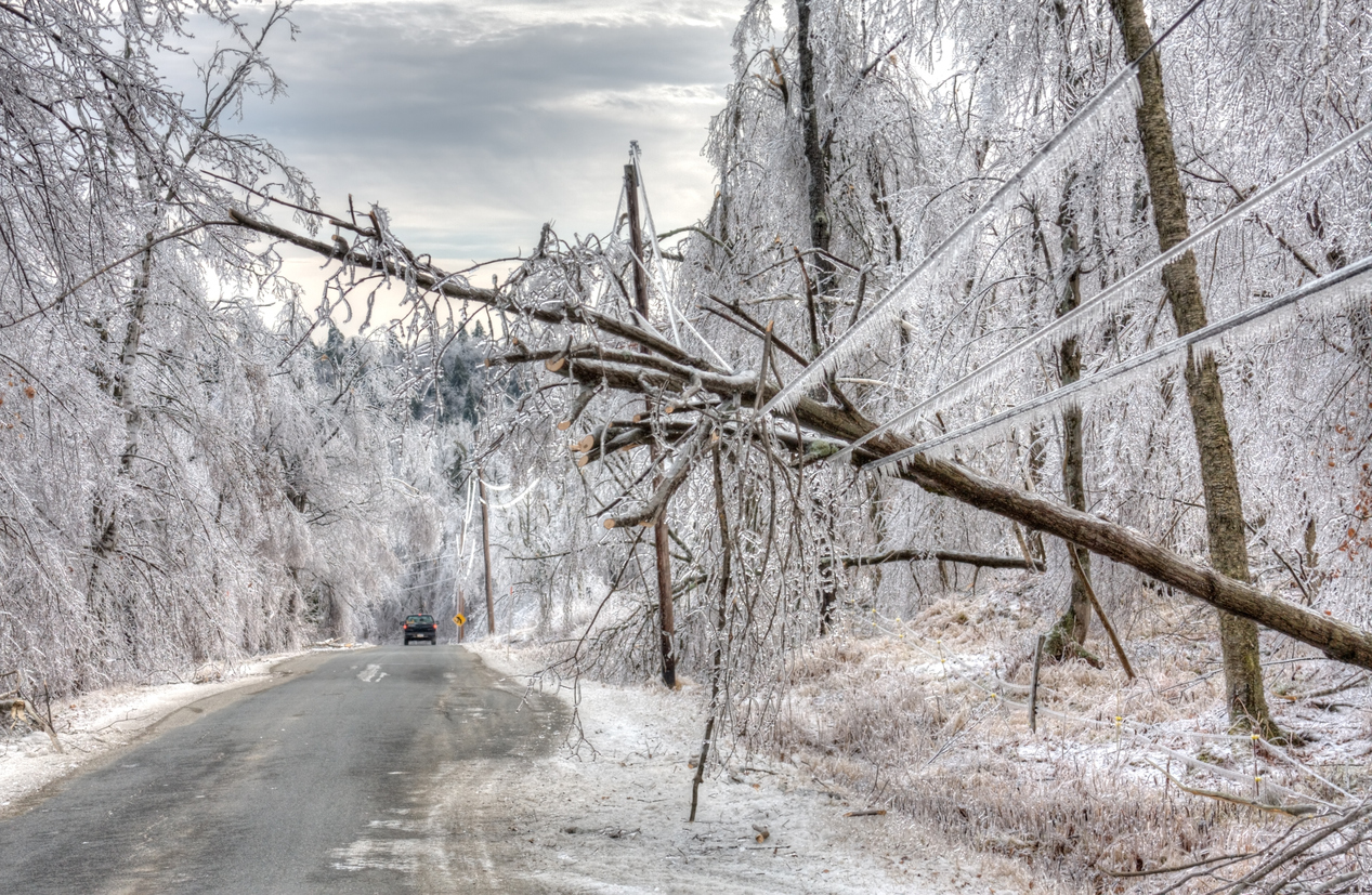 Ice storm causes tree to bring a power line down above a roadway.