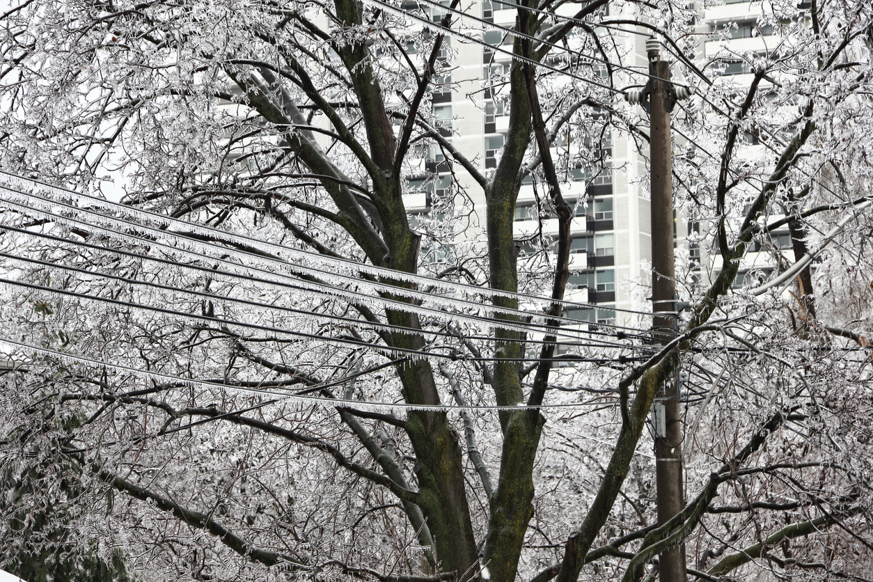 Freezing rain on trees and power lines.