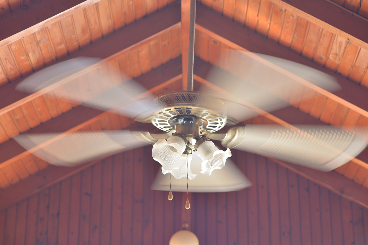 A-spinning-ceiling-fan-mounted-on-a-vaulted-wood-ceiling-has-short-pull-chains.