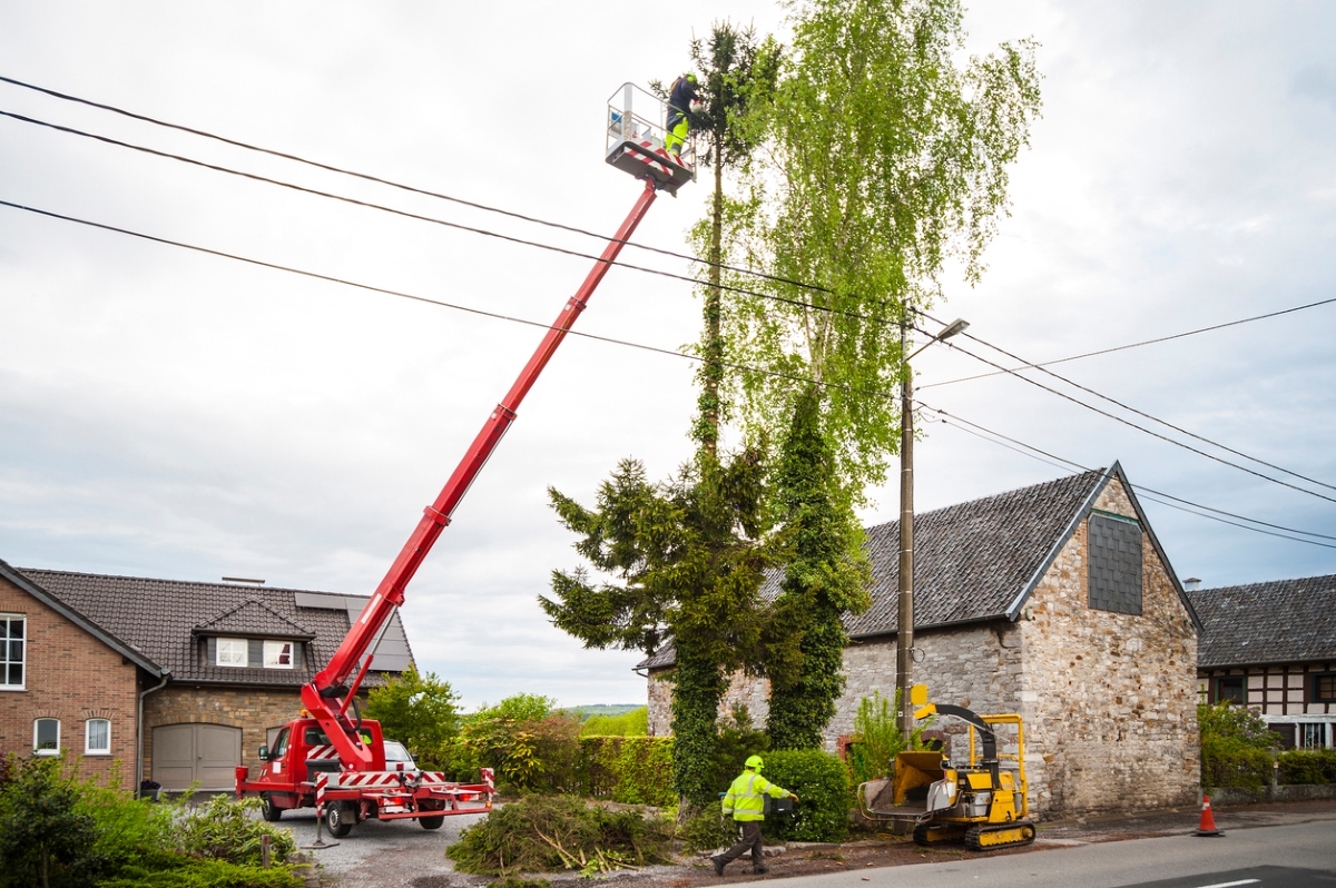 Professionals using large platform truck to cut tall trees.