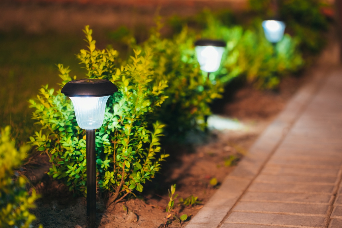 Solar lights at the edge of the garden.