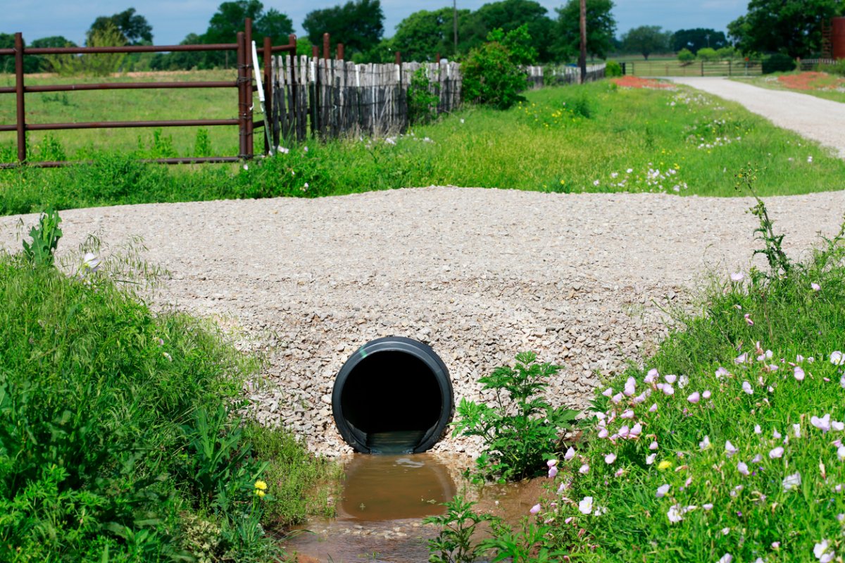 Culvert drainage system under gravel road with grass and wildflowers.