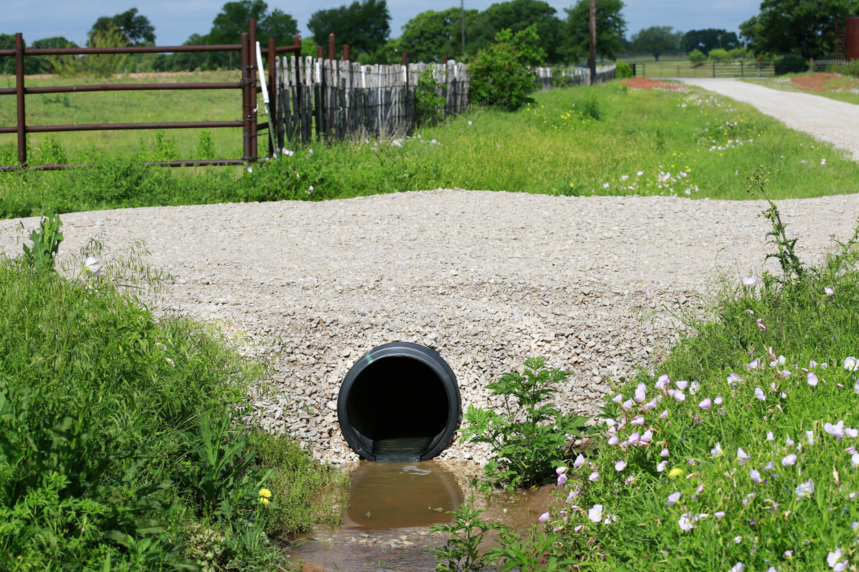Culvert drainage system under gravel road with grass and wildflowers.