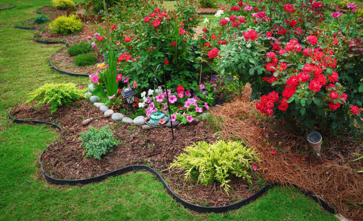 Beautifully manicured garden beds with bright flowers, green grass and landscaped borders.