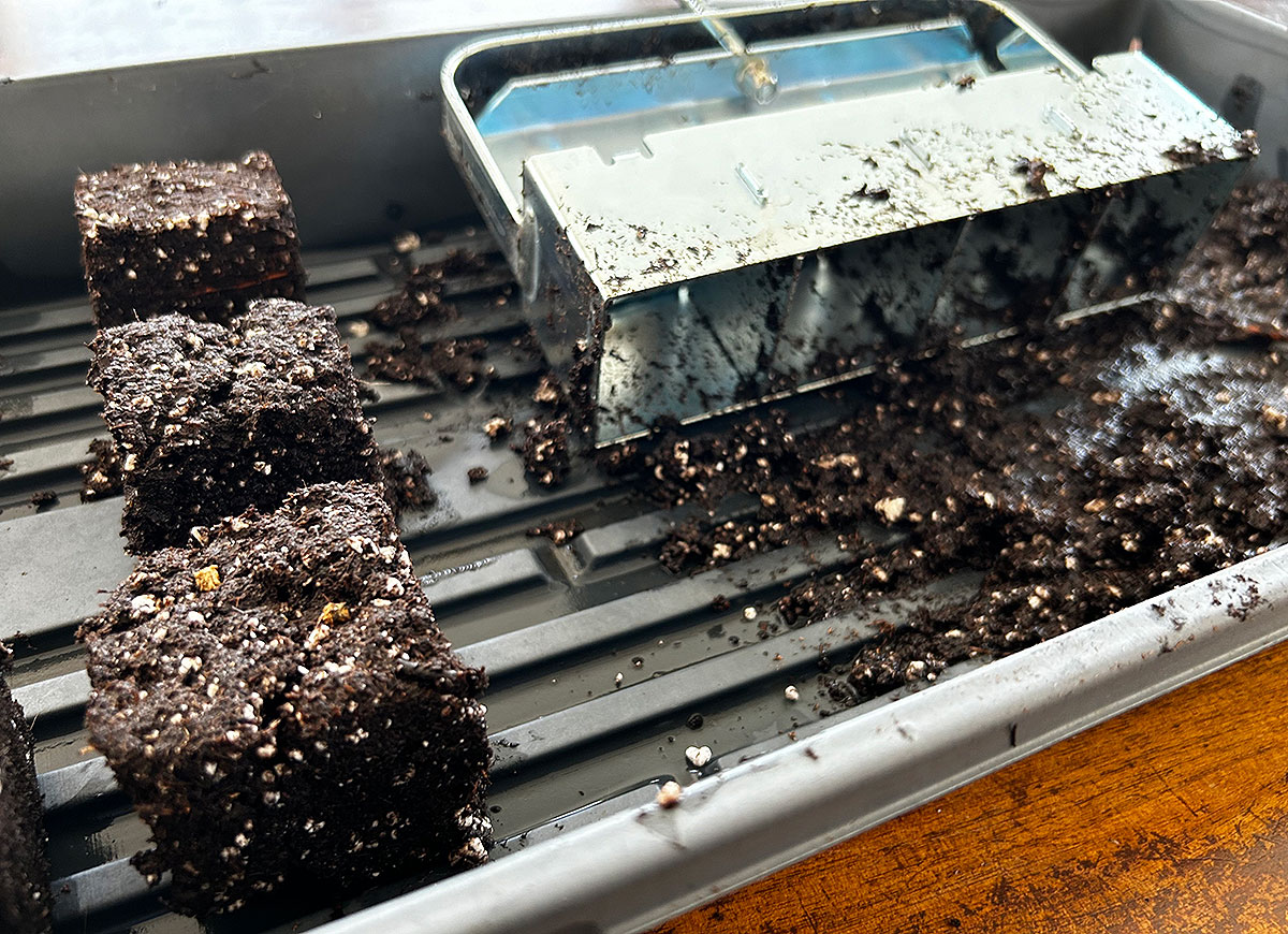 A soil blocker with a few freshly made soil blocks inside a gardening tray prepared for sowing seeds.
