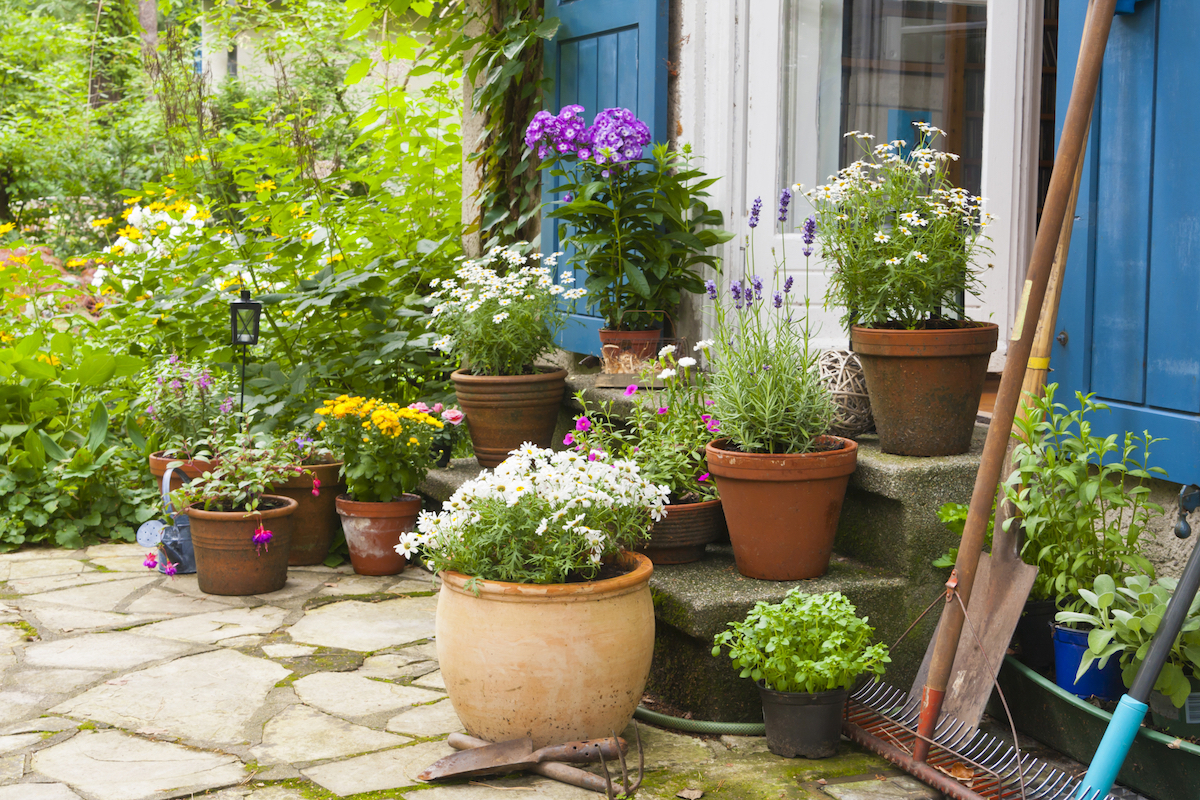 Potted flowers and greenery in a variety of pots on a patio.