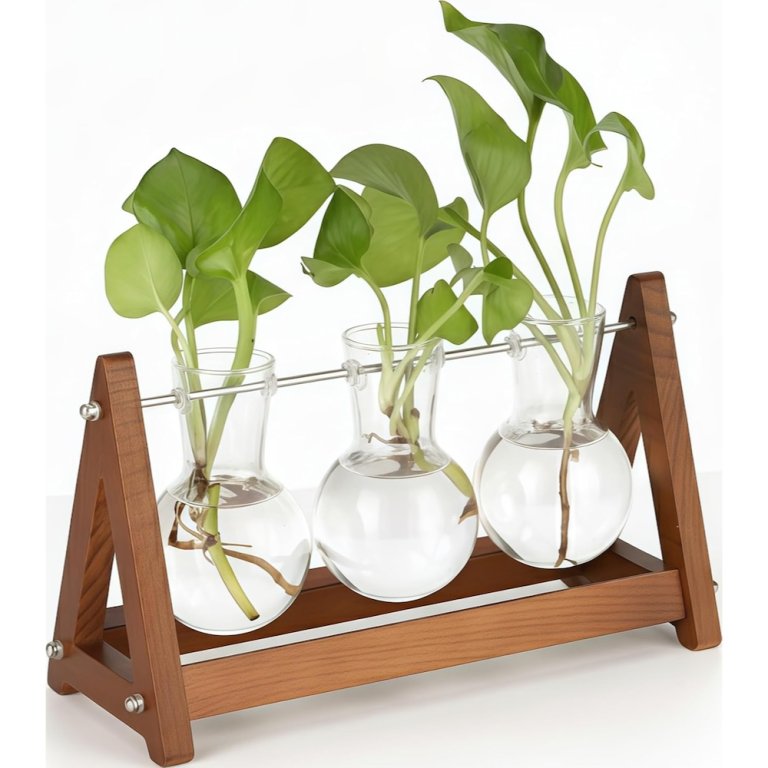 Best Hydroponic System - Best Bang for the Buck - TomGear Plant Terrarium