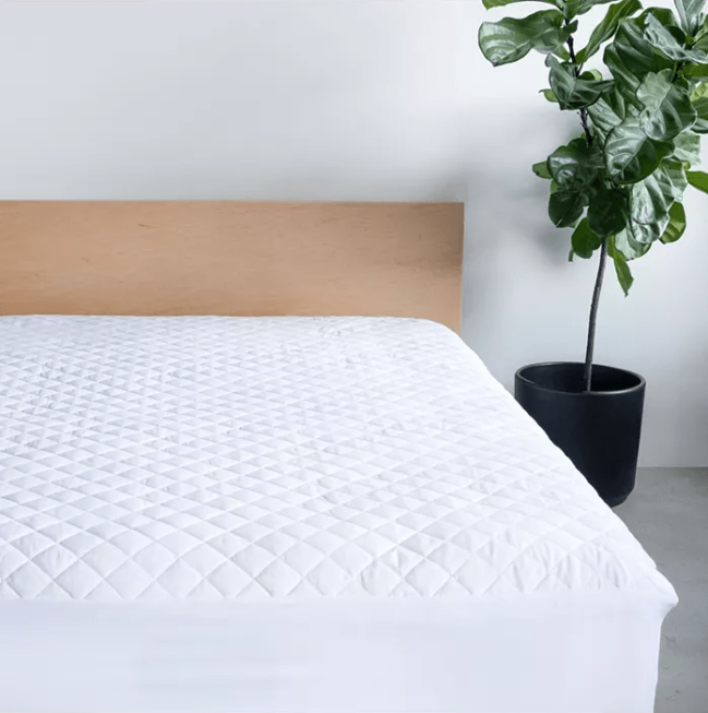 A white quilted mattress pad covers a mattress on a wood bed next to a plant.