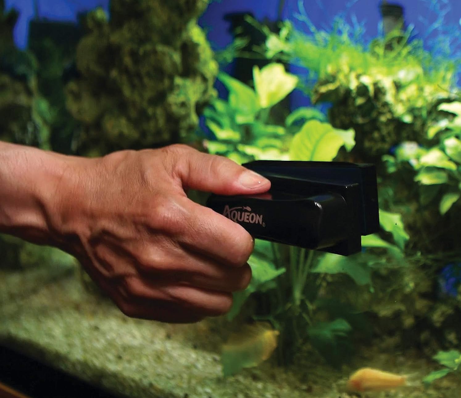 A hand uses the Aqueon-Aquarium-Algae-Cleaning-Magnets to clean an aquarium.