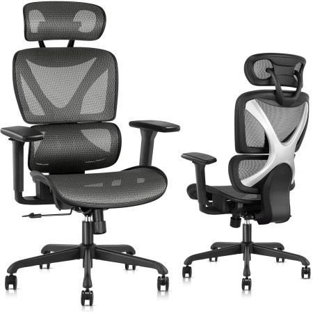 Gabrylly Ergonomic Office Chair